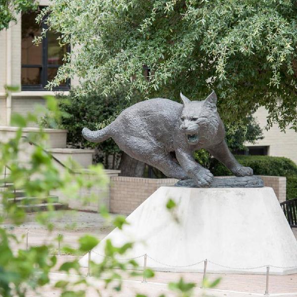 Bobcat statue on San Marcos campus