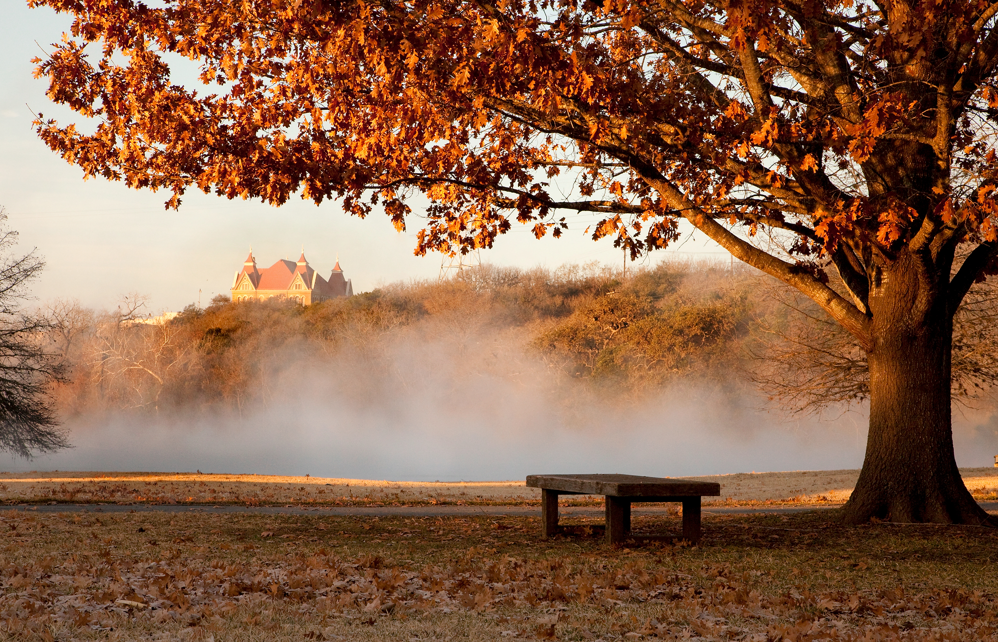 texas state fall