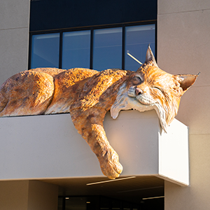 Sleeping bobcat statue on the Texas State San Marcos campus