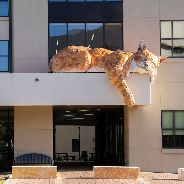 Local Habitat sleeping bobcat sculpture